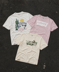Levi's T-Shirt Women, example styles